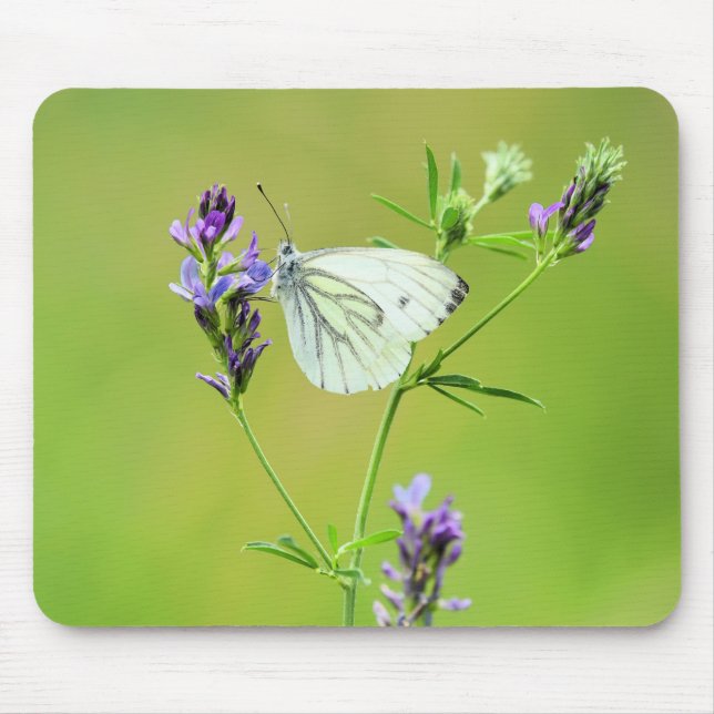 Tapis De Souris Papillon blanc à veines vertes (Devant)