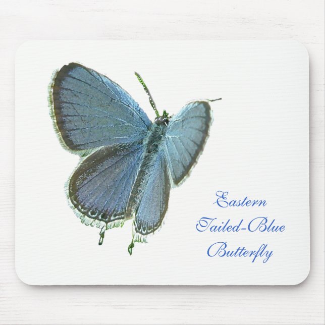 Tapis De Souris Papillon bleu à queue orientale (Devant)