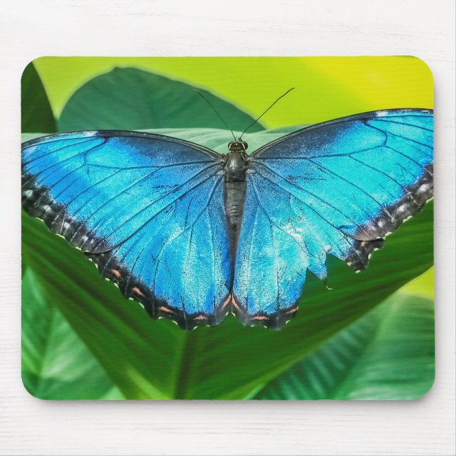 Tapis De Souris Papillon bleu Morpho Floral Nature Art (Devant)