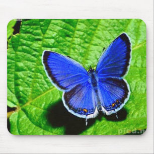 Tapis De Souris Papillon bleu Mousepad