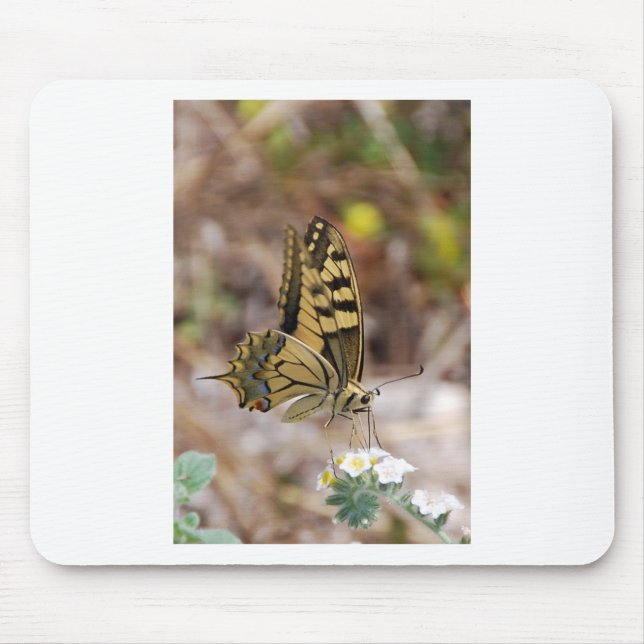 Tapis De Souris Papillon Brun et Blanc (Devant)