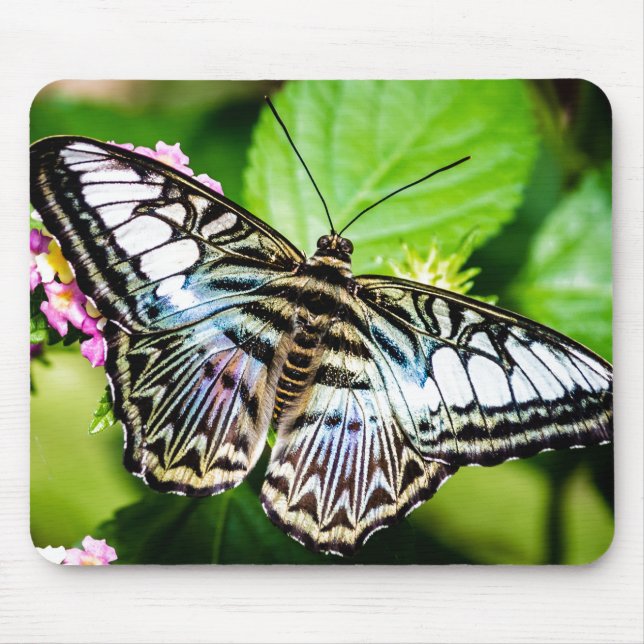 Tapis De Souris Papillon Clipper Bleu (Devant)