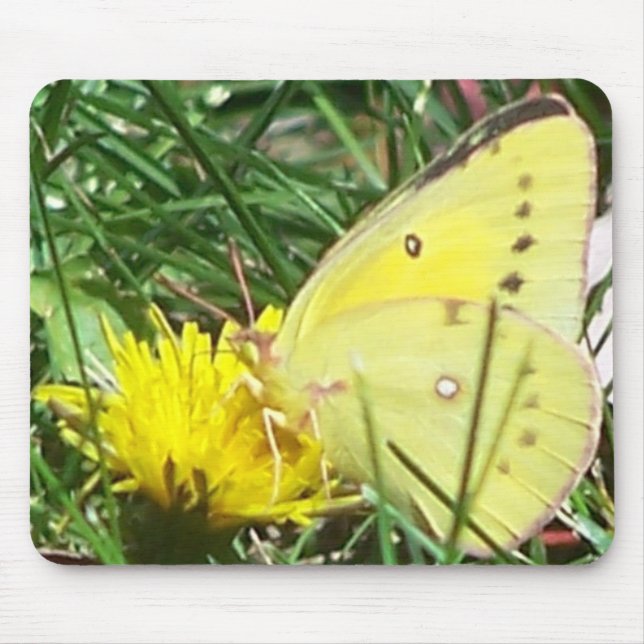 Tapis De Souris Papillon Dandelion (Devant)