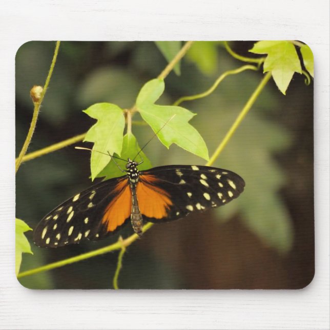 Tapis De Souris Papillon dans un jardin (Devant)