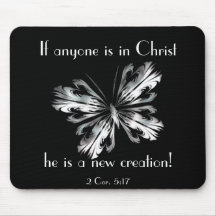 Papillon de gris argenté