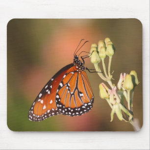 Tapis De Souris Papillon de la reine sur une branche
