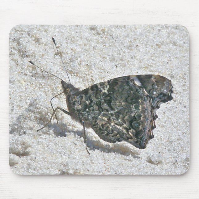 Tapis De Souris Papillon de l'amiral rouge sur les éléments de coo (Devant)