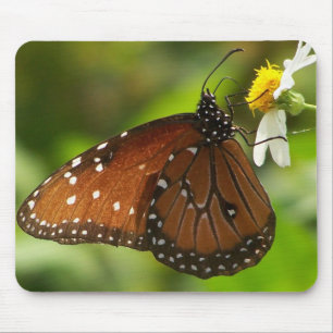 Tapis De Souris Papillon de monarque