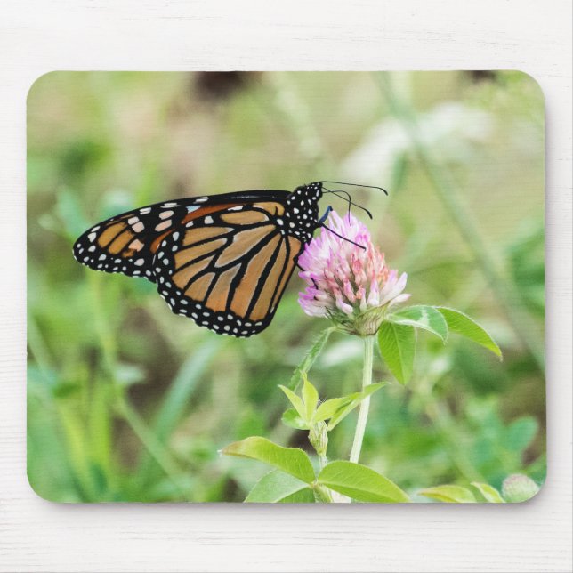Tapis De Souris Papillon de monarque (Devant)