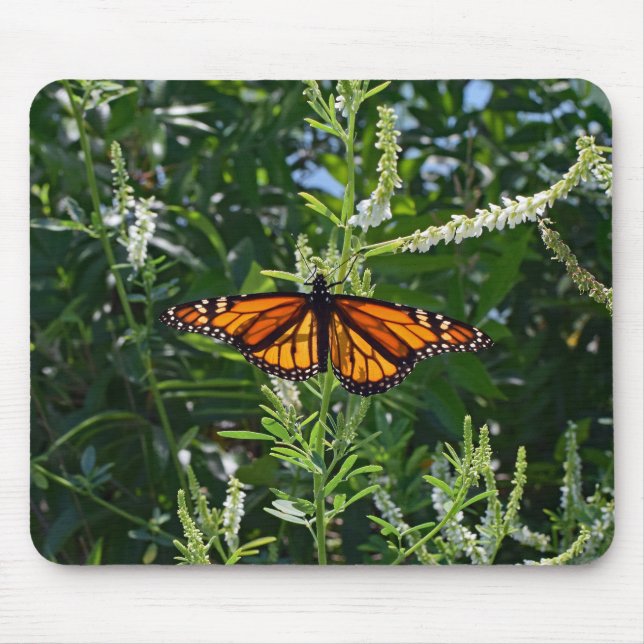 Tapis De Souris Papillon de monarque Mousepad naturel (Devant)