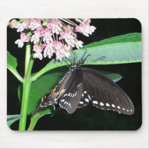 Tapis De Souris Papillon de nuit noir à Shenandoah