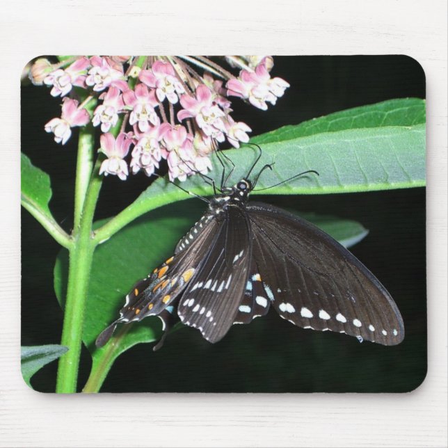 Tapis De Souris Papillon de nuit noir à Shenandoah (Devant)