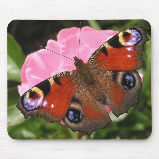 Tapis De Souris Papillon de paon (Devant)