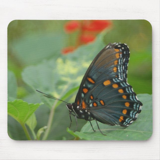 Tapis De Souris Papillon délicat (Devant)