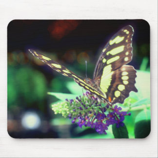 Tapis De Souris Papillon doux sur la nature des fleurs