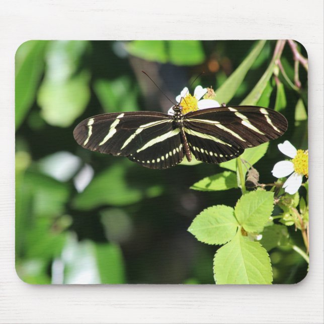 Tapis De Souris Papillon Heliconius charithonia (Devant)