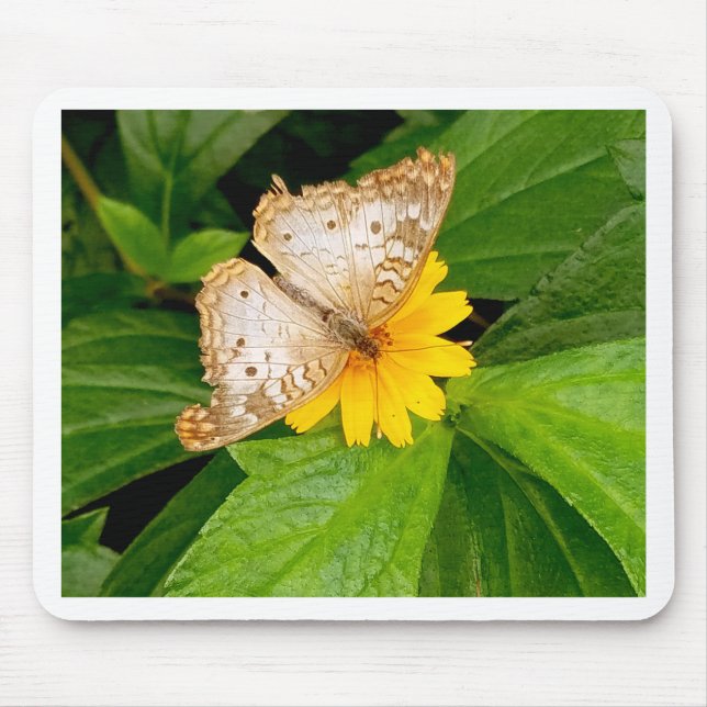 Tapis De Souris papillon jaune blanc (Devant)