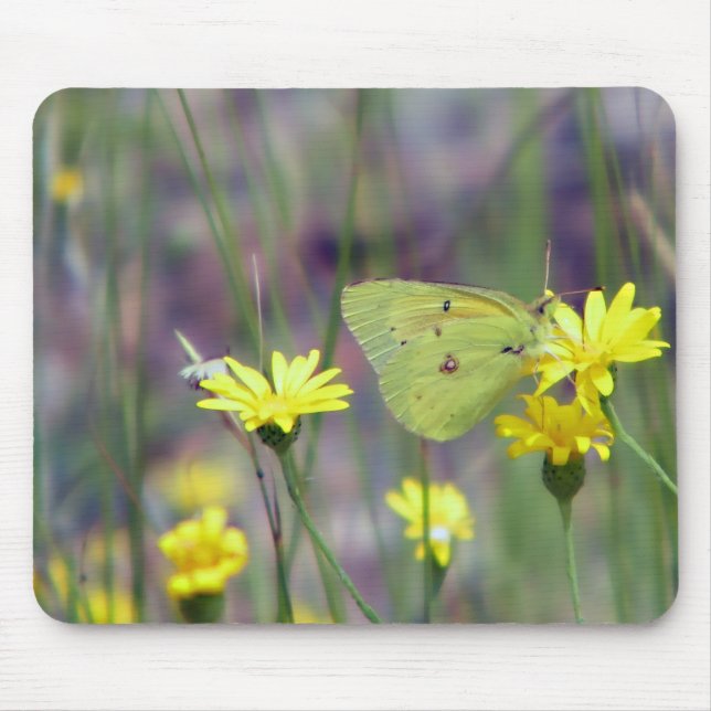 Tapis De Souris Papillon jaune sur la fleur jaune (Devant)