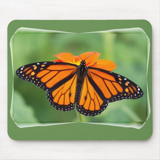 Tapis De Souris Papillon monarque (Devant)