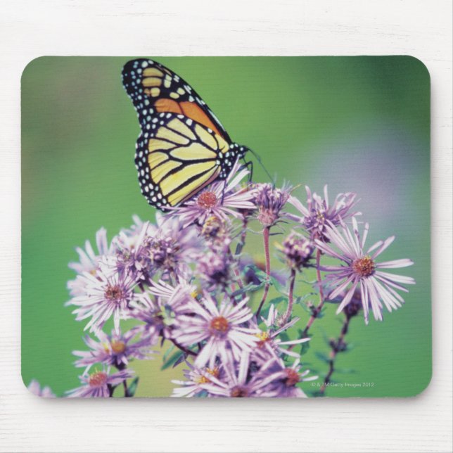 Tapis De Souris Papillon monarque (Devant)