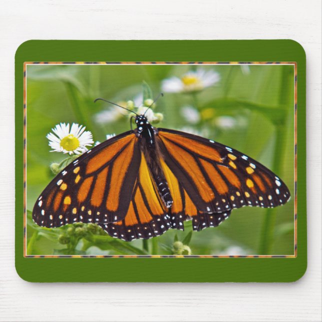 Tapis De Souris Papillon monarque (Devant)