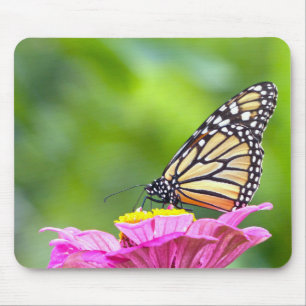 Tapis De Souris Papillon monarque