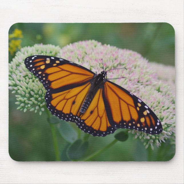 Tapis de souris Papillon Monarque (Devant)
