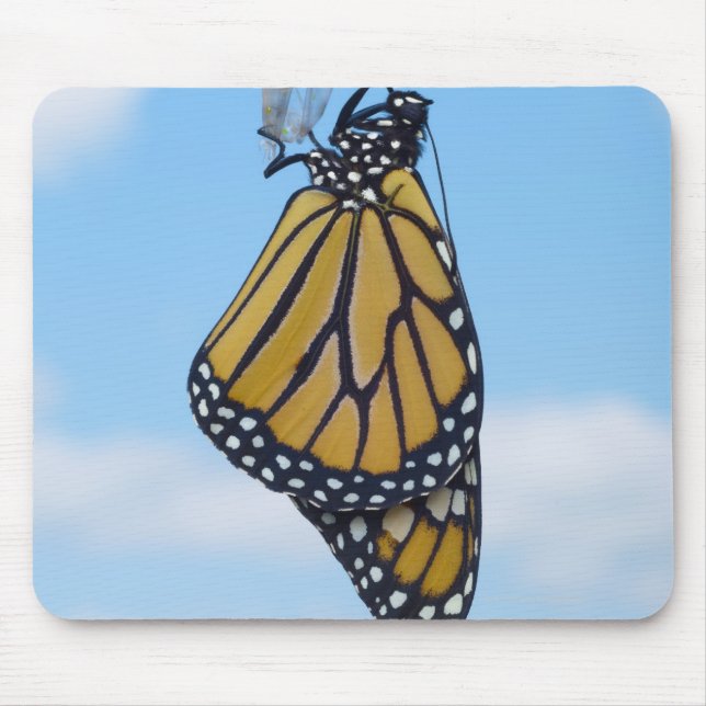 Tapis De Souris Papillon monarque, avec Chrysalis (Devant)