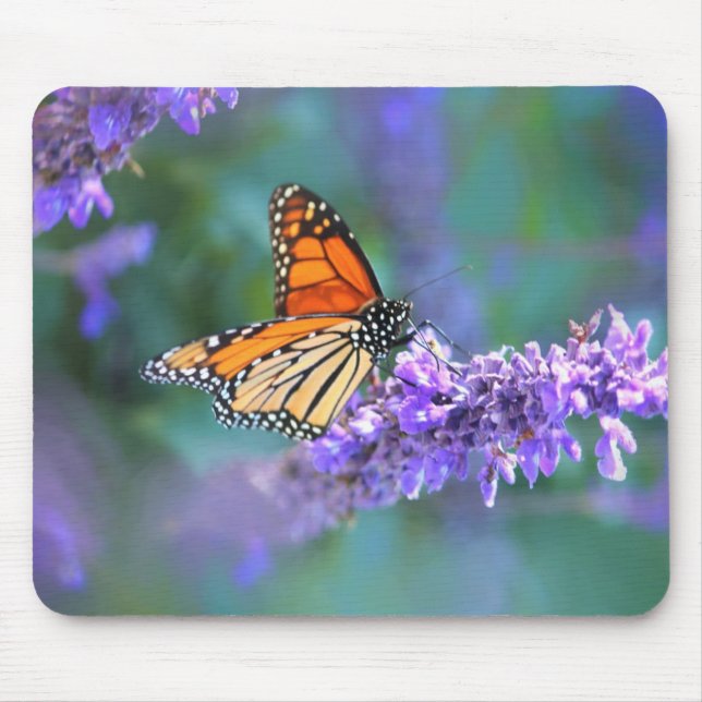 Tapis De Souris Papillon Monarque sur Fleur violette lilas (Devant)