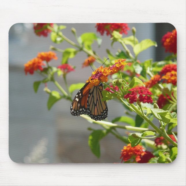 Tapis De Souris Papillon Monarque sur un Buddleia Rouge (Devant)