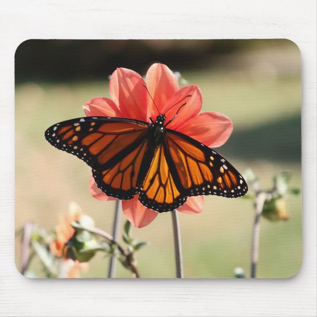 Tapis De Souris Papillon monarque sur une Dahlia (Devant)