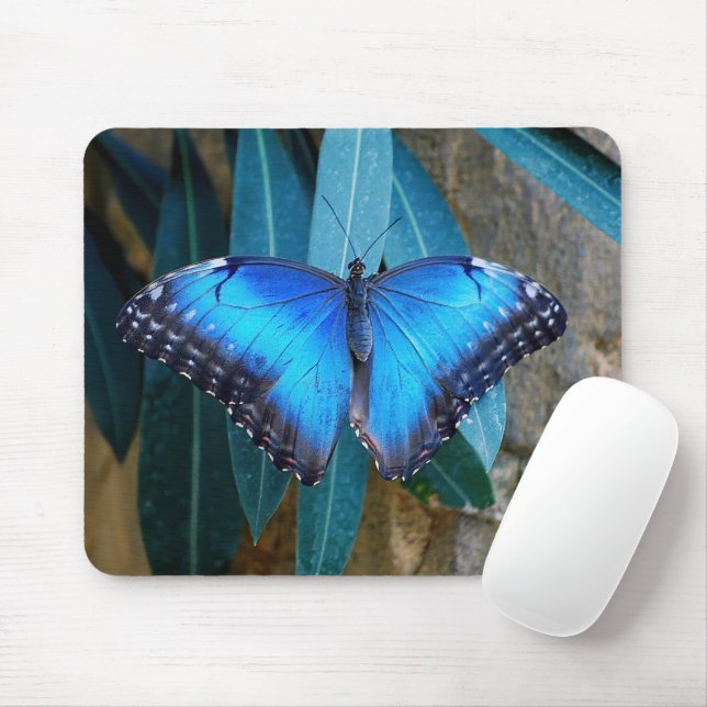 Tapis De Souris Papillon Morpho Commun Bleu (Avec souris)