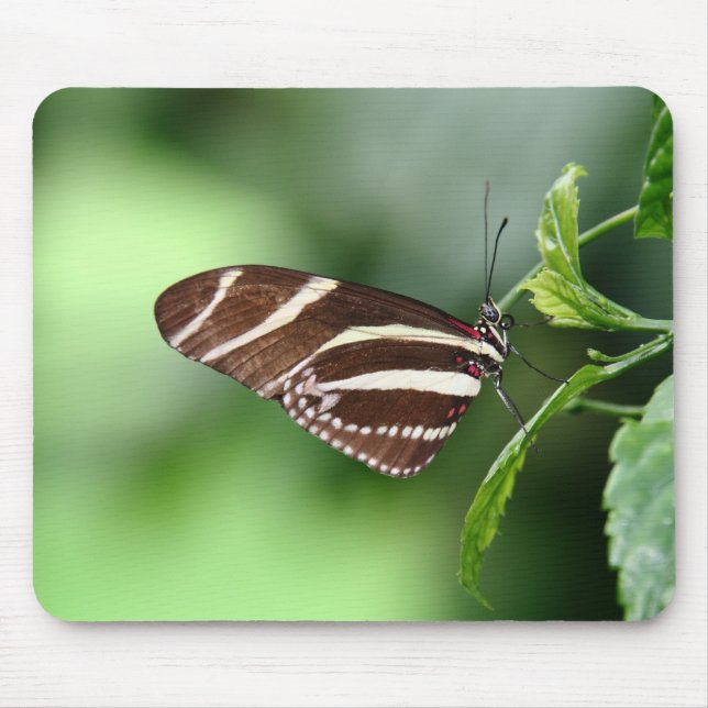 Tapis De Souris Papillon Mousepad (Devant)