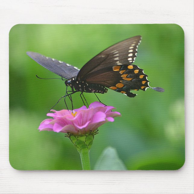 Tapis De Souris Papillon mousepad (Devant)
