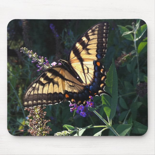 Tapis De Souris Papillon Mousepad de machaon (Devant)