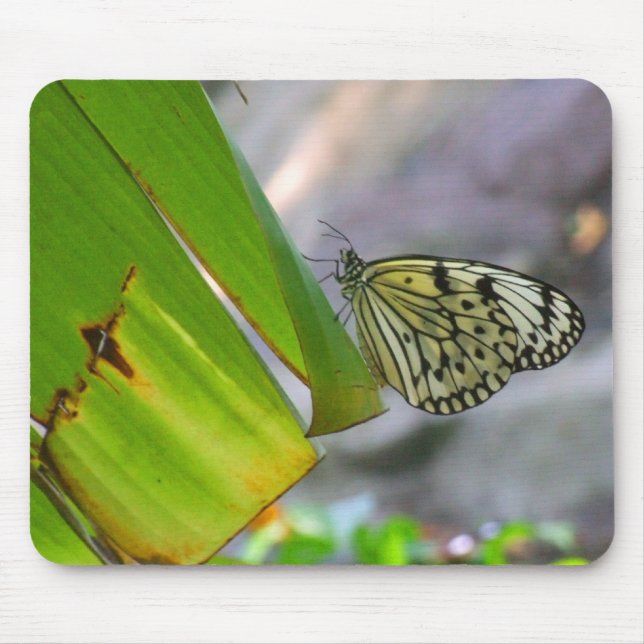 Tapis De Souris Papillon Mousepad de papier de riz de nymphe (Devant)