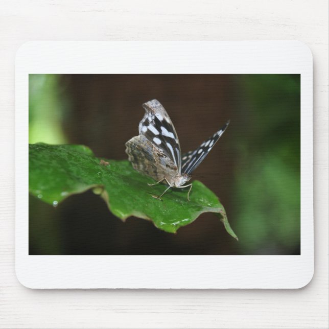 Tapis De Souris Papillon noir et blanc (Devant)