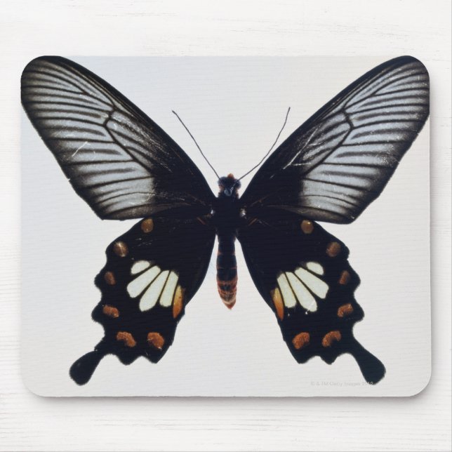 Tapis De Souris Papillon noir et brun (Devant)