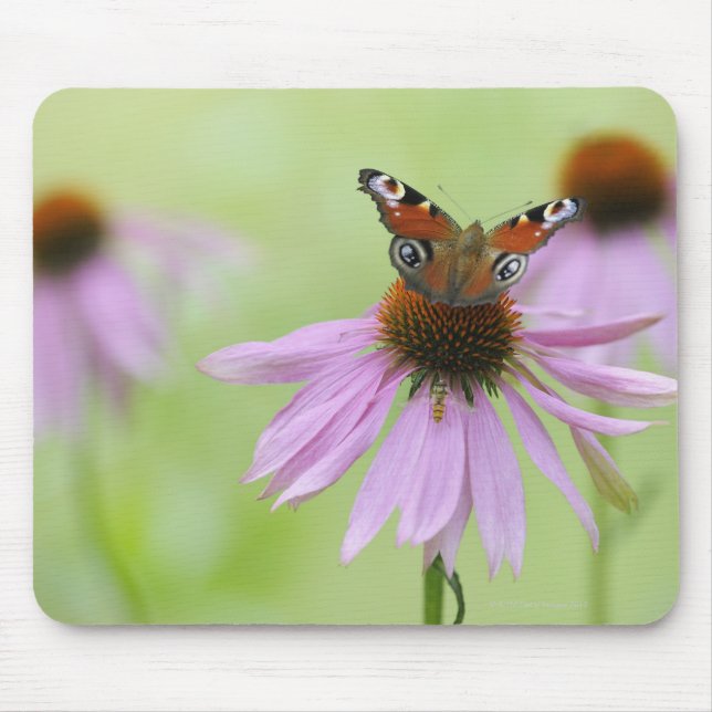 Tapis De Souris Papillon paon (Inachis io) buvant du nectar (Devant)