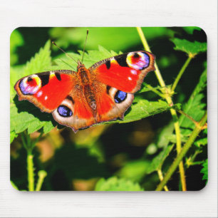 Tapis De Souris Papillon paon, papillon, feuille
