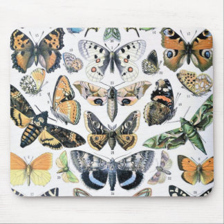 Tapis De Souris Papillon papillon vintage Ancien art d'illustratio