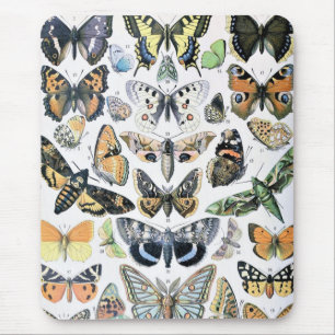 Tapis De Souris Papillon papillon vintage Ancien art d'illustratio