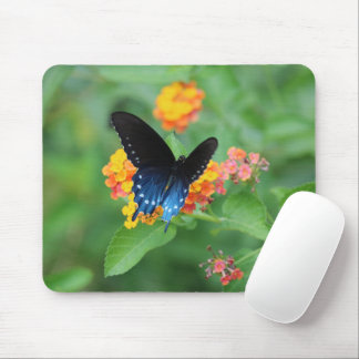 Tapis De Souris Papillon Pipevine/Bleu Swallowtail sur une fleur