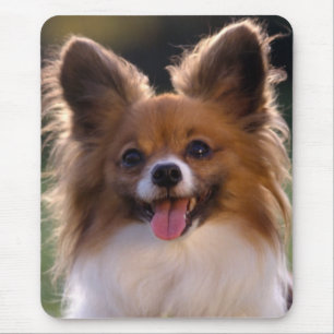 Tapis De Souris Papillon Puppy Maman Amoureux des chiens Fur Mama