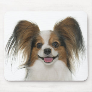 Tapis De Souris Papillon Puppy Maman Amoureux des chiens Puppies F