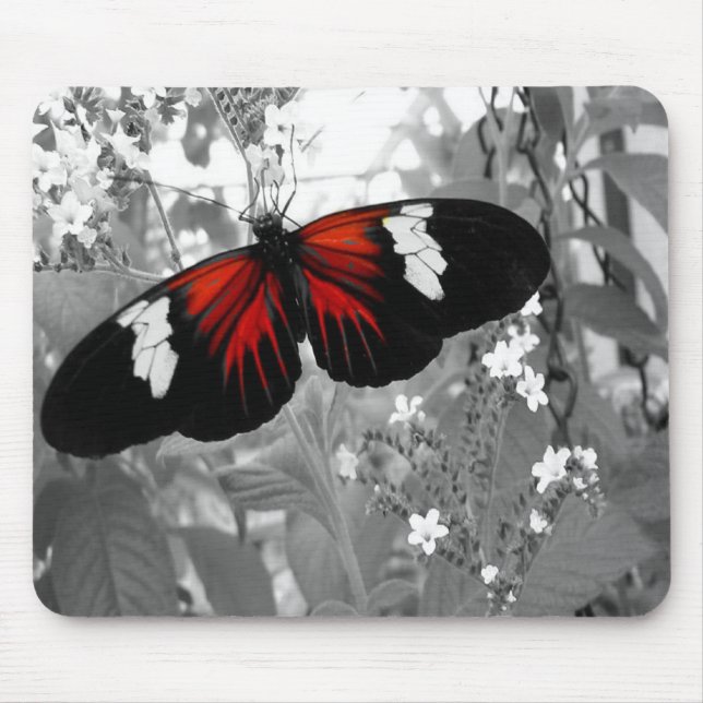 Tapis De Souris Papillon rouge noir et blanc (Devant)