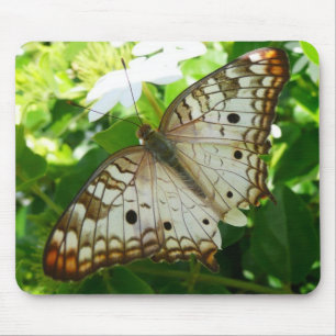 Tapis De Souris Papillon sur Jasmine Tropical Nature Photographie