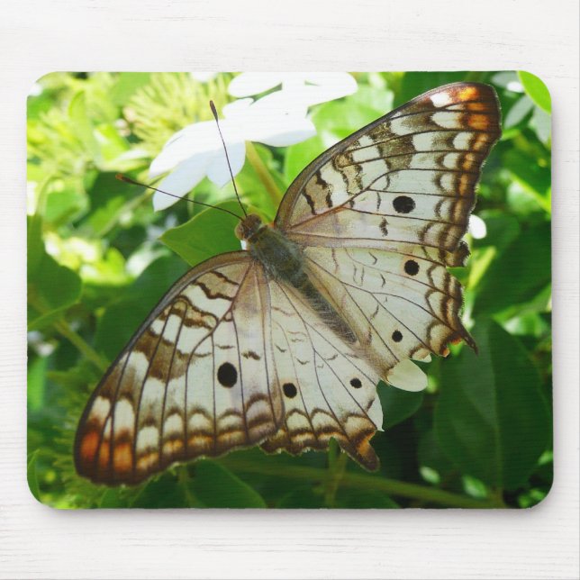 Tapis De Souris Papillon sur Jasmine Tropical Nature Photographie (Devant)