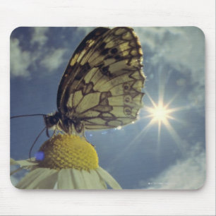 Tapis De Souris Papillon sur la fleur de camomille avec le soleil,