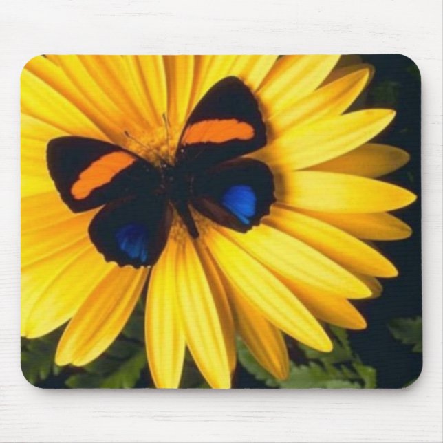 Tapis De Souris Papillon sur la marguerite jaune (Devant)